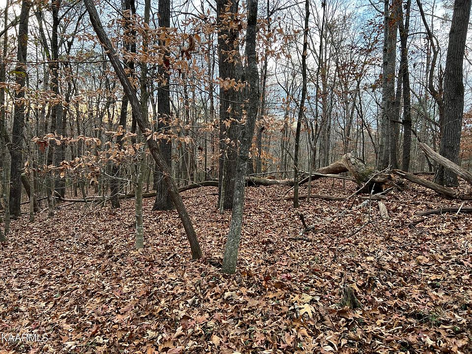 2nd image of Ridge Dr