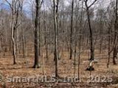 42 A.P. Gates Road, East Haddam, CT, 06423