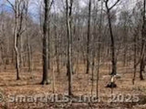 42 A.P. Gates Road, East Haddam, CT 06423