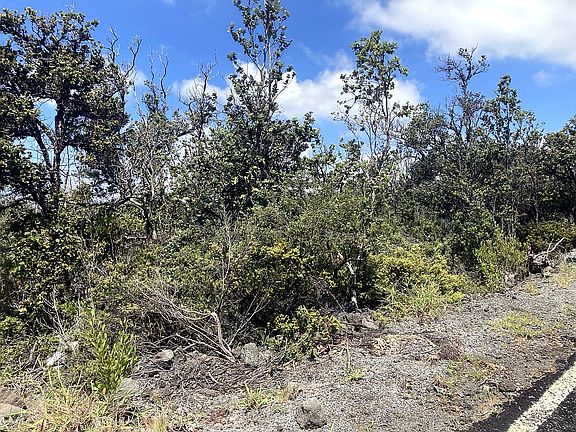 2nd image of Pineapple Pkwy Lot 14