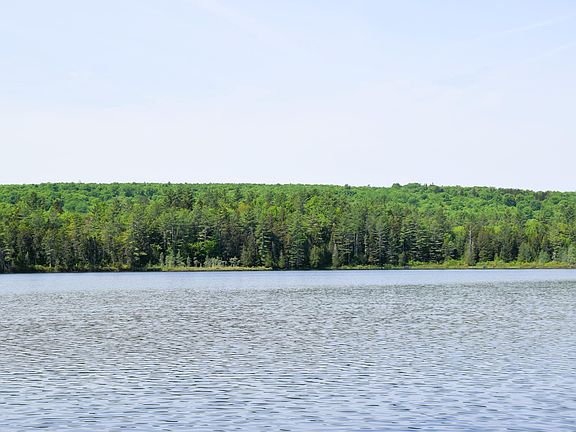 2nd image of MS03 Middle Carry Pond