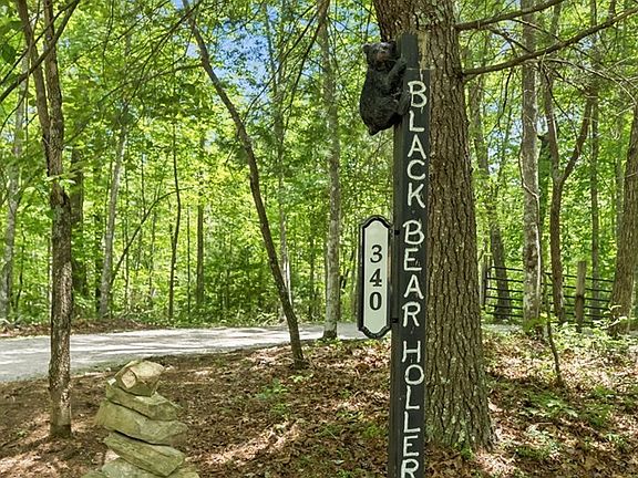 2nd image of 340 Doe Ridge Dr
