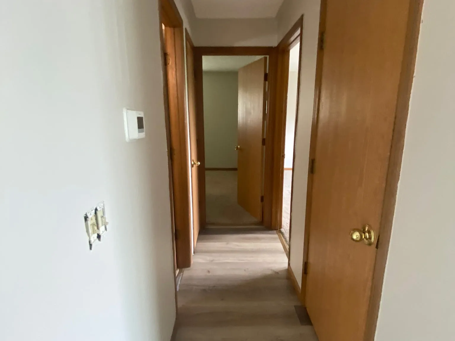 2 bed, 800 sqft, $1,250 — Photo 3