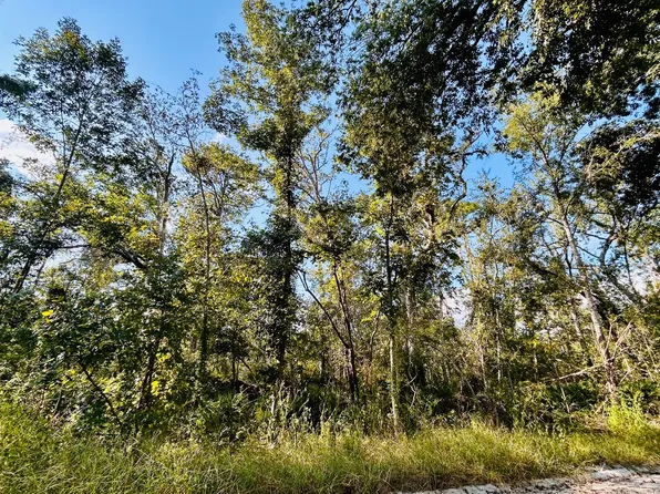 Suw Park Lots #42-49, Live Oak, FL 32060