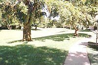 Quiet walking trails/ great for pets!