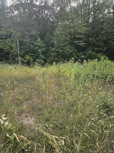 239 Thompson Street, Shelton, CT, 06484