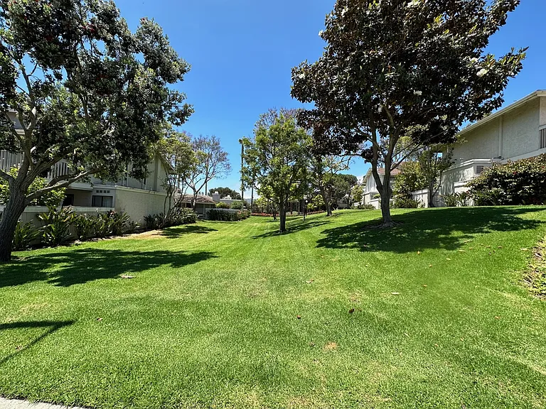 3834 Camino Lindo — Photo 18