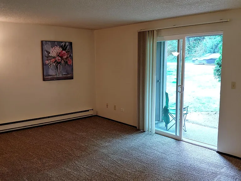 living room and patio