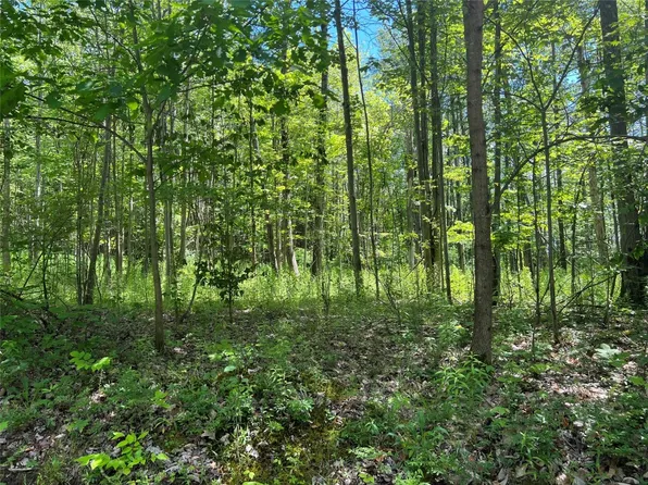 195 Corson Rd, Maine, NY 13802