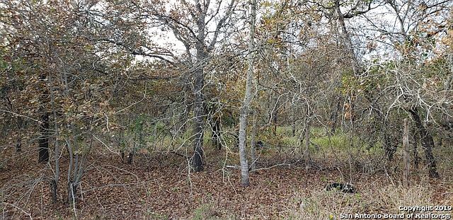 2nd image of 22359 Mathis Rd