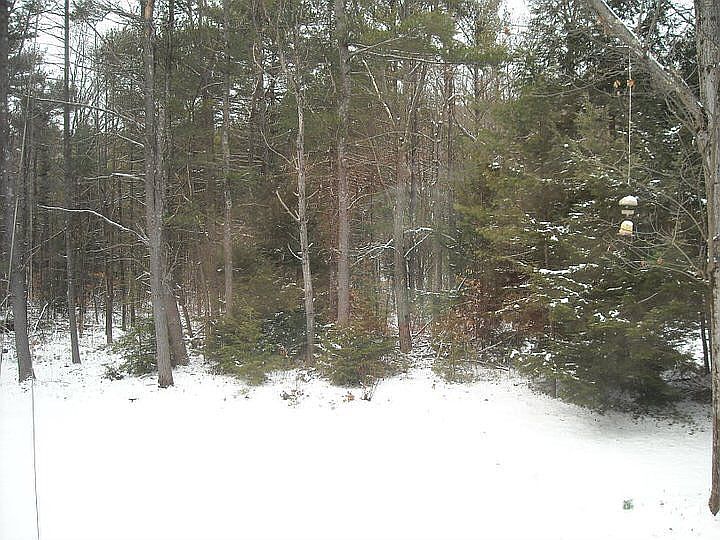 2nd image of 6 Newcomb Rd