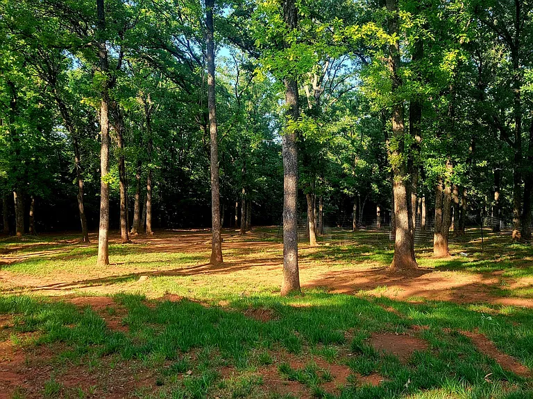 Property is 4 acres of beautiful trees, lots of privacy from all neighbors