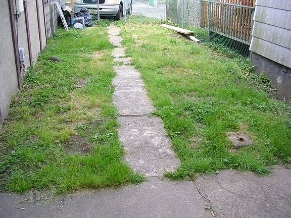 Yard