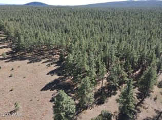 5 Birdsong Way, Lakeside, AZ 85929