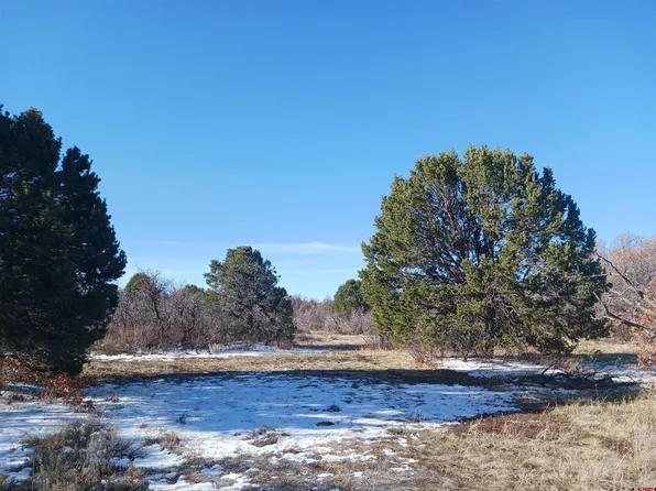 TBD North Avalon Drive, Norwood, CO 81423