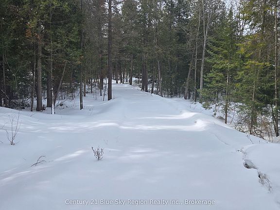 2nd image of 97 Maple Rd