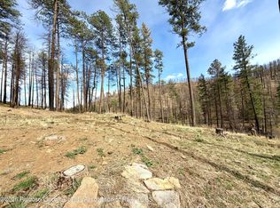 100 Sonora Loop, Ruidoso, NM 88345