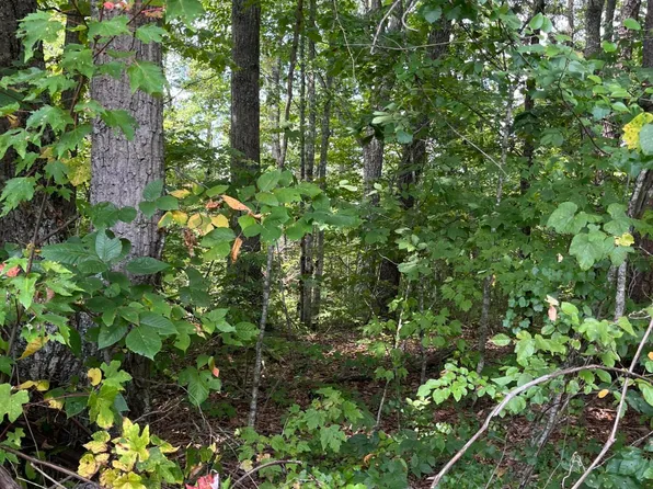 0 Sandy Hills Rd, Corbin, KY 40701