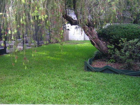 Tropical Landscaping