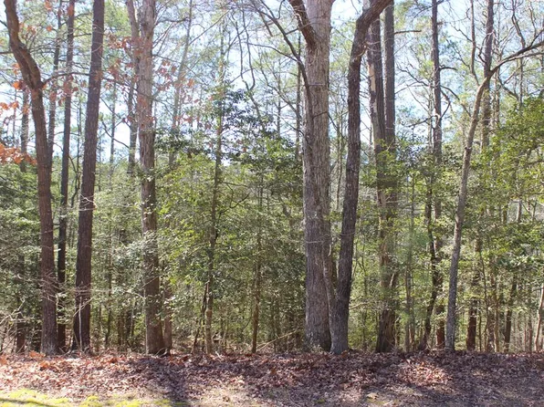 1892 Buccaneer Blvd, Greenbackville, VA 23356