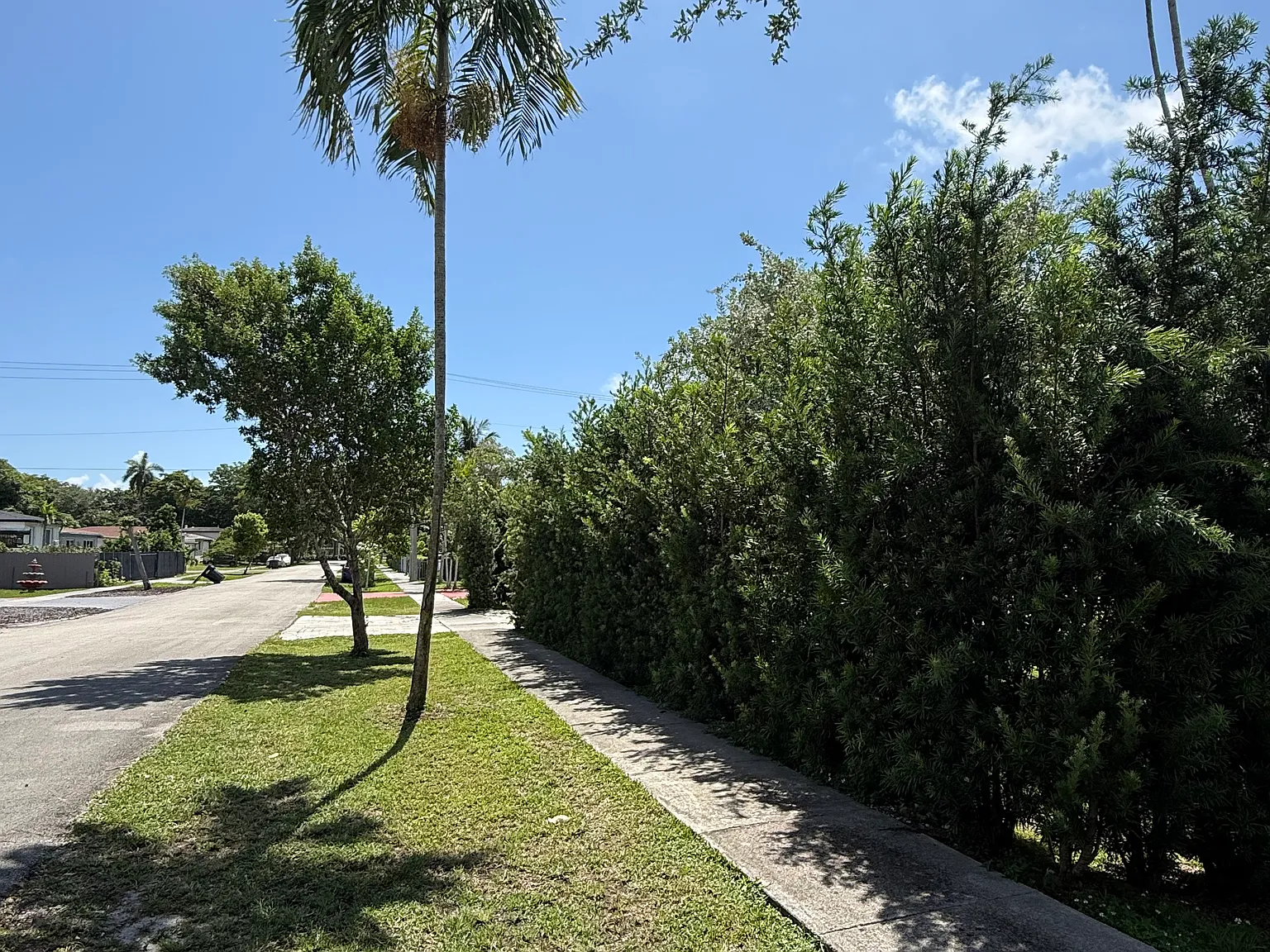 1 bed, 425 sqft, $1,200 — Photo 2