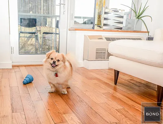 Rented by Bond New York | media 16