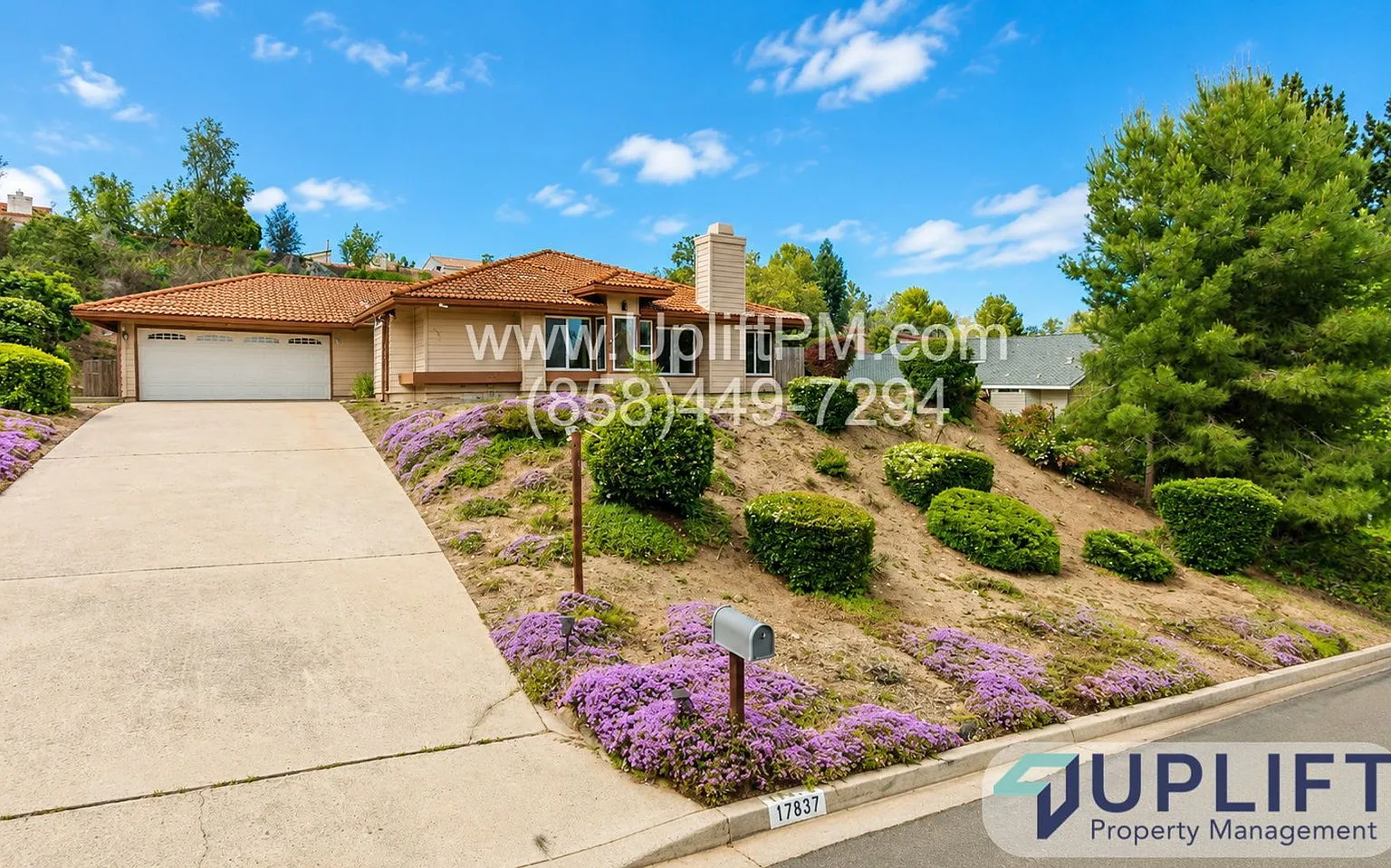 4 bed, 2.0 bath, 1828 sqft, $4,895 — Photo 1