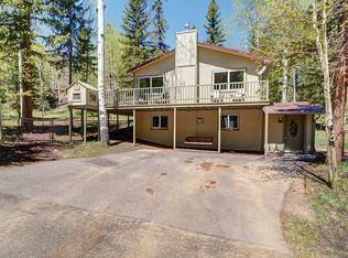 61 Saguache Dr, Florissant, CO 80816