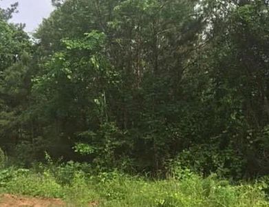 0 Davis Carter Rd #17, Monticello, GA, 31064