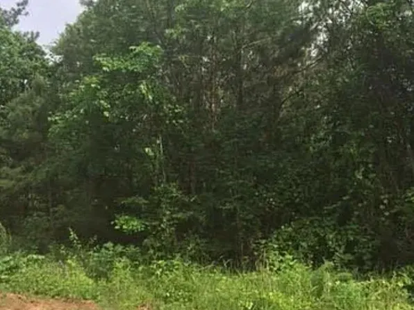 0 Davis Carter Rd #17, Monticello, GA 31064