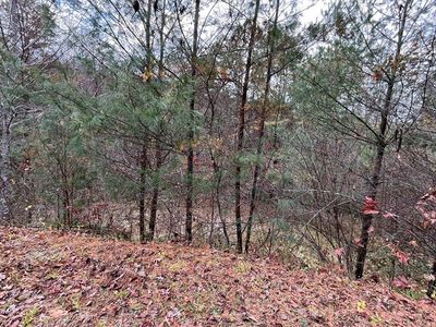 18 Mystic Mountain Dr, Murphy, NC, 28906