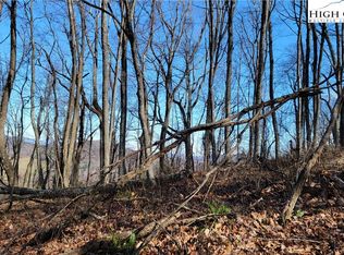 51/52/53 Fox Grape Way, Laurel Springs, NC 28644