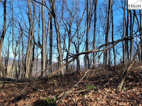 51/52/53 Fox Grape Way, Laurel Springs, NC 28644