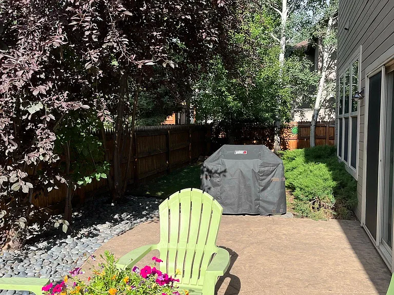 Grill in Backyard