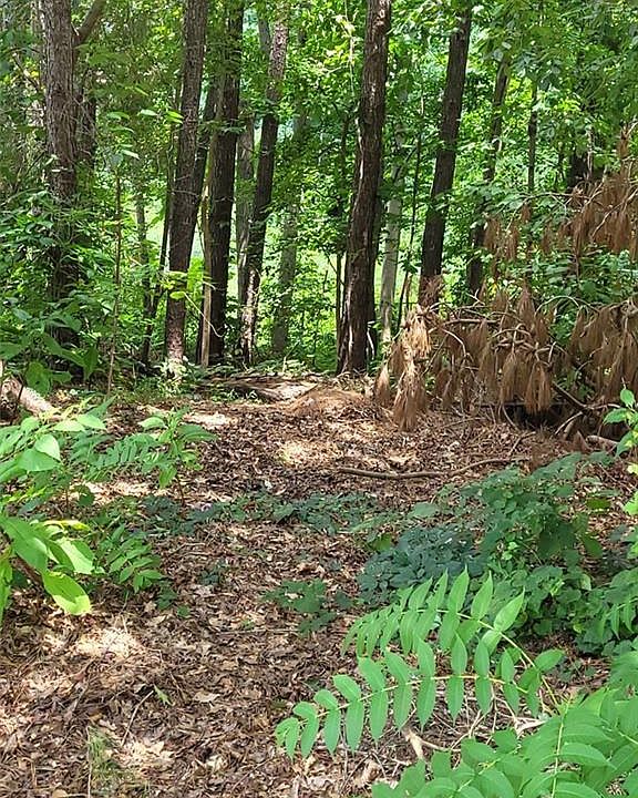 2nd image of 1077 Crooked Creek Rd