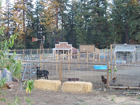 Goat Houses