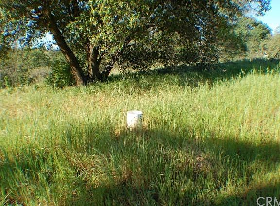 4th image of Olive Hwy