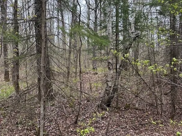 0 Cricket Lane, Winter, WI 54896