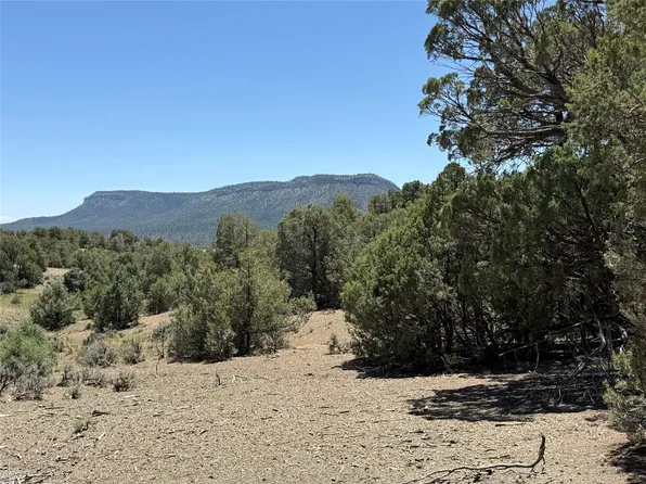 0 Christy Ln, Los Ojos, NM 87551