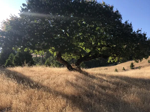 8200 Salmon Creek Rd, Whitethorn, CA 95589