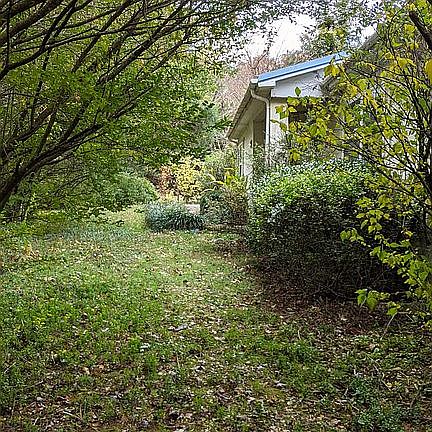 5th image of 11433 Lindsey Ln