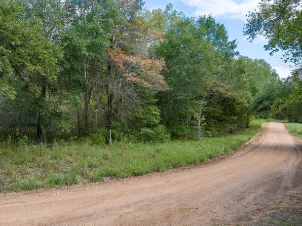 Dungens Mill Rd, Columbus, TX 78934