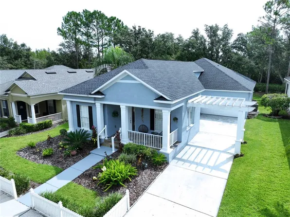 19217 Sea Mist Ln, Lutz, FL 33558