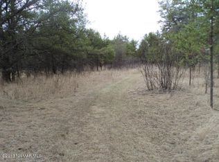 66850 Swedes Jackpine Rd NW, Grygla, MN 56727