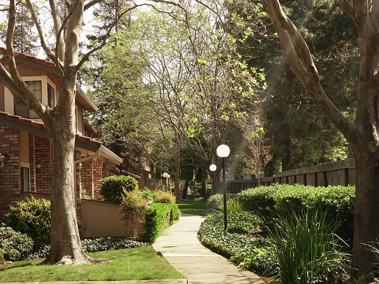 32833 Arbor Vine Dr — Photo 2
