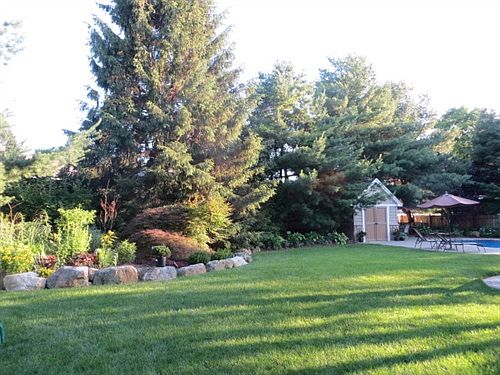 Beautiful Private Yard