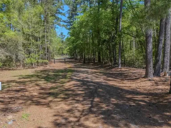 1315 Hill Harrell Rd, Effingham, SC 29541