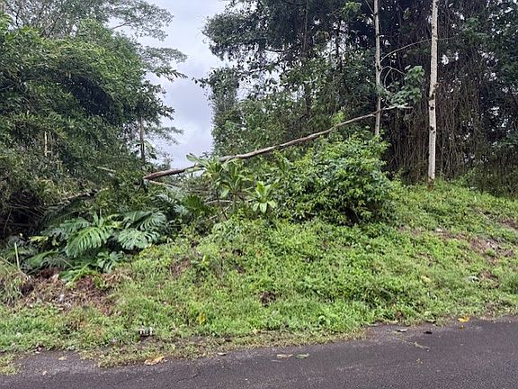 4th image of 15-716 Puni Mauka Loop N Lot 195
