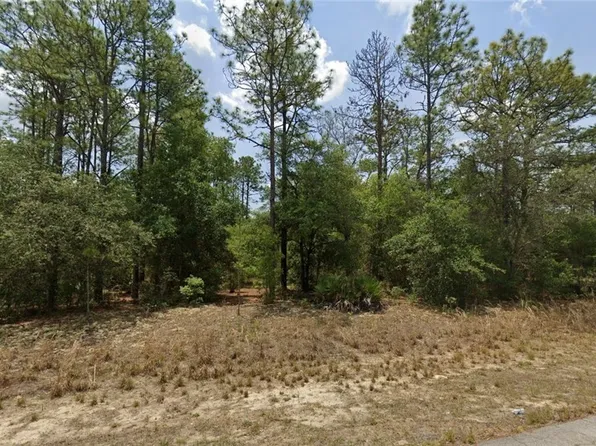 2530 W Braganza St, Citrus Springs, FL 34433