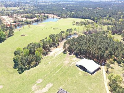 451 Carter Dee Rd, Taylorsville, MS, 39168